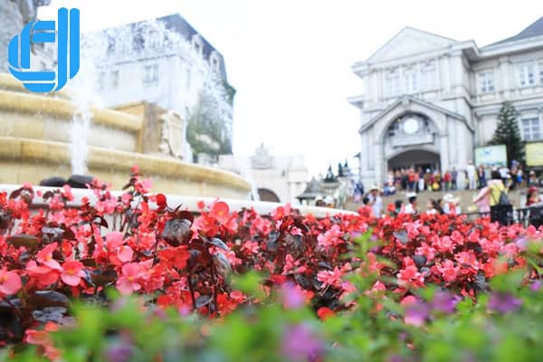 d2tour công ty chuyên tổ chức tour du lịch hải dương đà nẵng khởi hành hằng ngày